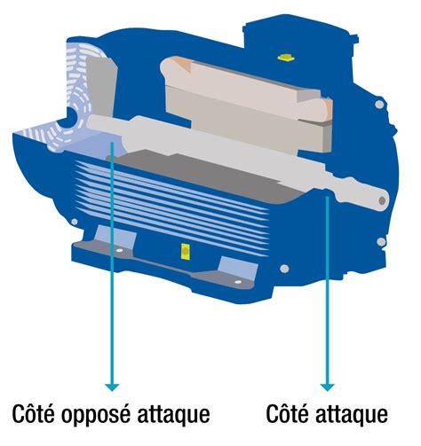 Comprendre votre plaque signalétique WEG France