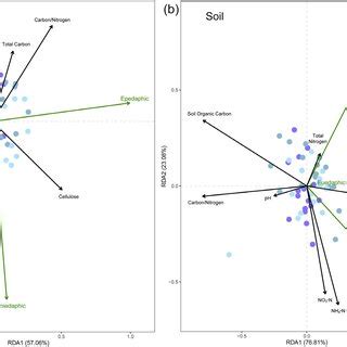 Redundancy Analysis Rda Showing The Relationship Between Collembola