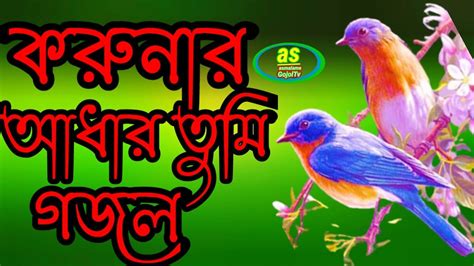 করুনার আধার তুমি বাংলা গজলকলিজা শীতল করা গজল New Song Nice Gojol