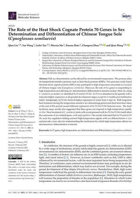 PDF The Role Of The Heat Shock Cognate Protein 70 Genes In Sex