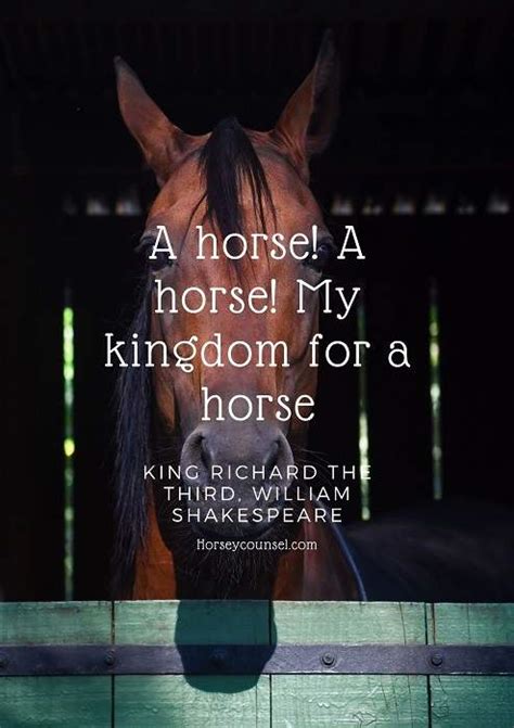 40 Best Horse Quotes & Proverbs for Equine Inspiration