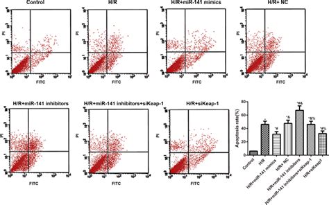 The Pc12 Cell Apoptosis In Each Group Evaluated By Flow Cytometry