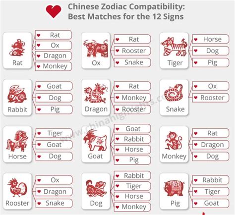 The Ultimate Guide To Chinese Zodiac Compatibility Understanding Your