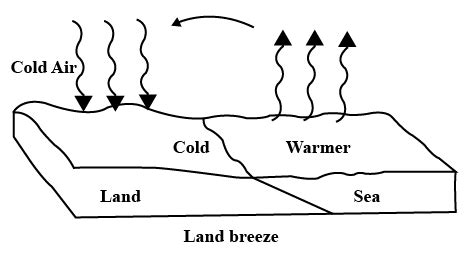 What Are The Land And Sea Breezes Explain Their Formation