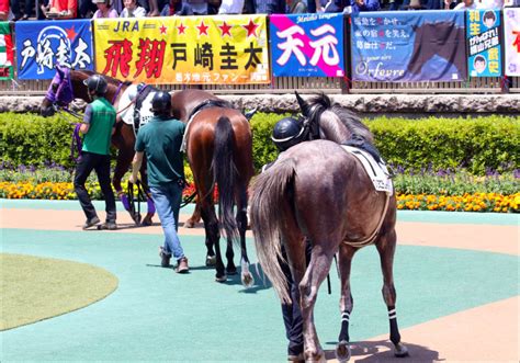 「ウマ娘」ドーブネ2連勝も武豊の代打・吉田隼人に酷評。元jra藤田伸二氏、池添謙一×メイケイエールにご満悦？「10億までは降りない」って10