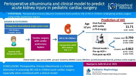 Perioperative albuminuria and clinical model to predict acute kidney ...