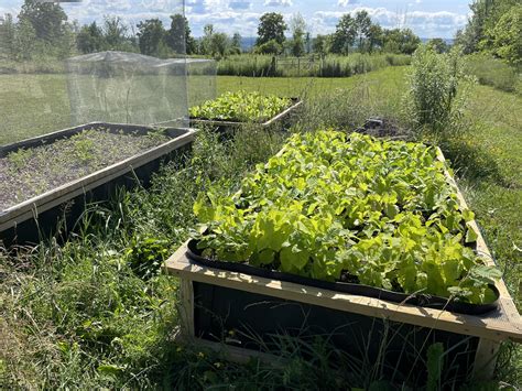 Shepherd Ridge Farm | Lansing NY