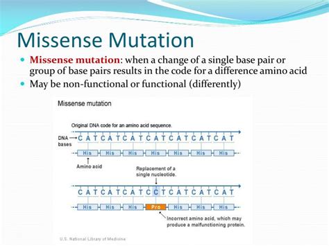 PPT Mutations PowerPoint Presentation ID 2015860