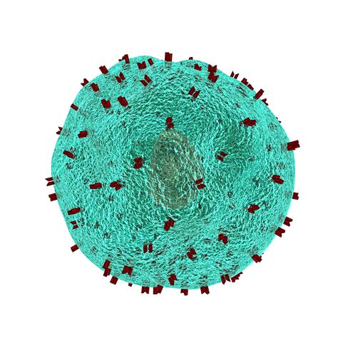 What are the neurological side effects of CAR T-cell therapy?