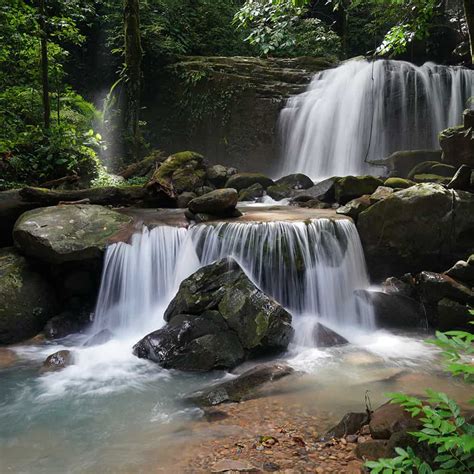 sabah adventure tours borneo indotrek