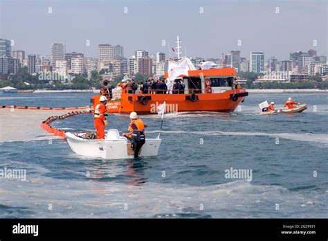 A Worker Cleans Thick Layer Of Sea Snot Also Called Marine Mucilage