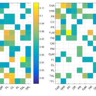 Maps of the mean absolute normalized information flow rate values τ