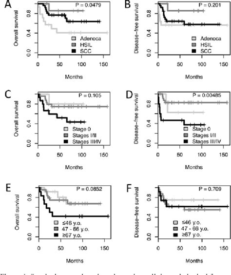 Figure 1 From Loss Of Raf Kinase Inhibitor Protein Expression Is