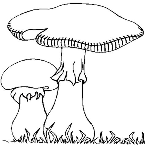 Coloriage Champignon automne en Ligne Gratuit à imprimer