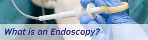 Exeter Gut Clinic What Is An Endoscopy Procedure Header Exeter Gut Clinic