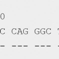 Alignment Of The Sequence Of Exon 3 Of DQA1 01 38 01 01 With The