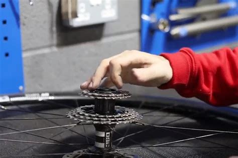 How To Remove And Fit A Cassette Tredz Bikes