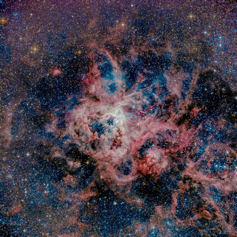 Tarantula Nebula - One Click | Telescope Live