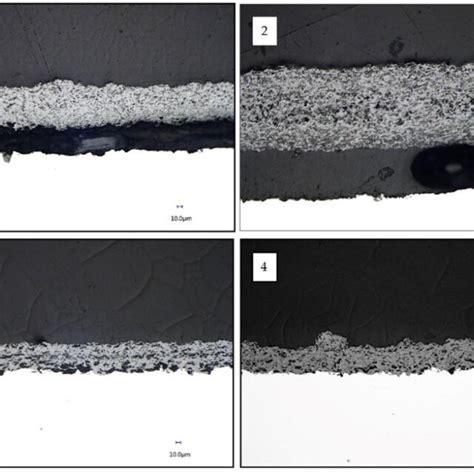 optical microscope images   cross sections  samples
