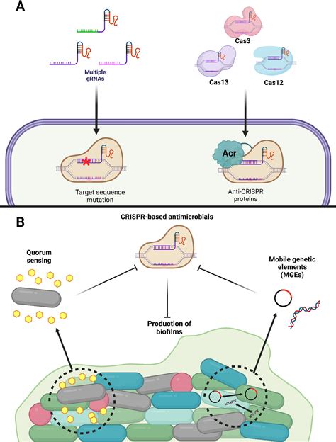 Crispr Cas Based Antimicrobials Design Challenges And Bacterial