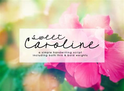 25 Best Thin Cursive Fonts For Refined Designs