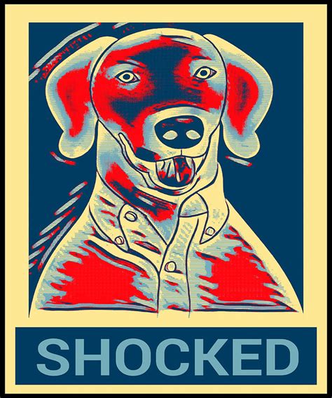 Surprised Shocked Dog Face Meme Poster 70s Painting by Adele Nikki - Pixels