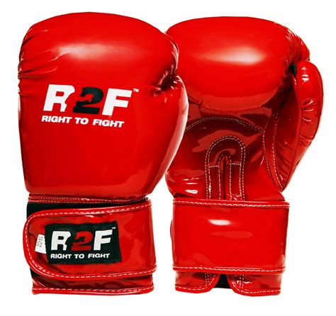 Boxing Gloves Mma Punching Kickboxing Fighting Sparring Training Bag