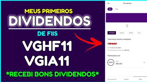 Meus Primeiros Dividendos De Fundos Imobiliarios A Es Tambem