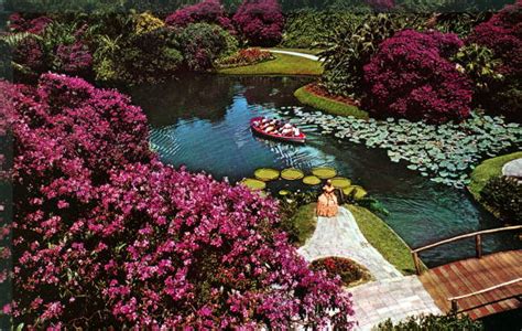 Florida Memory • Boats Filled With Tourists Enjoy Cypress Gardens