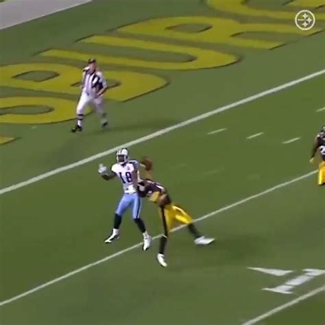 Troy Polamalu One Handed Interception Titans