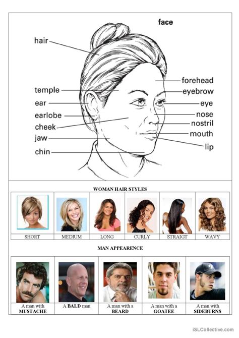 The Face Parts And Woman Hairstyles English Esl Worksheets Pdf Doc