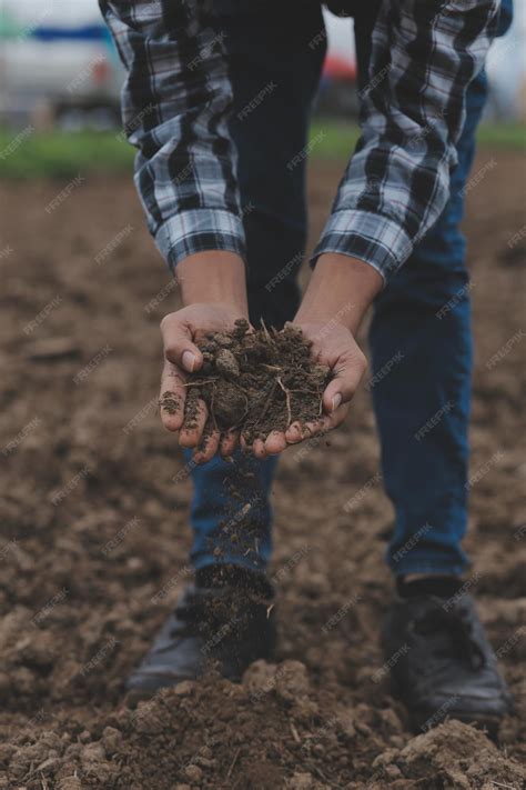 Premium Photo | Male hands touching soil on the field a farmer checks