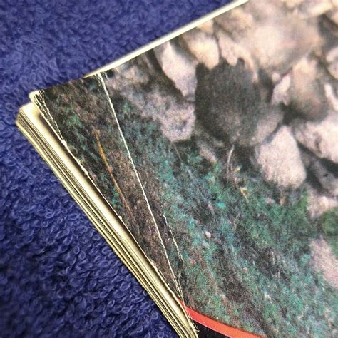 PLAYBOY Rare (LAURIE WOOD) Magazine Mexican Edition, April 1991 | eBay