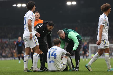 'Optimistic': Daniel Farke delivers Leeds United boost as attention ...