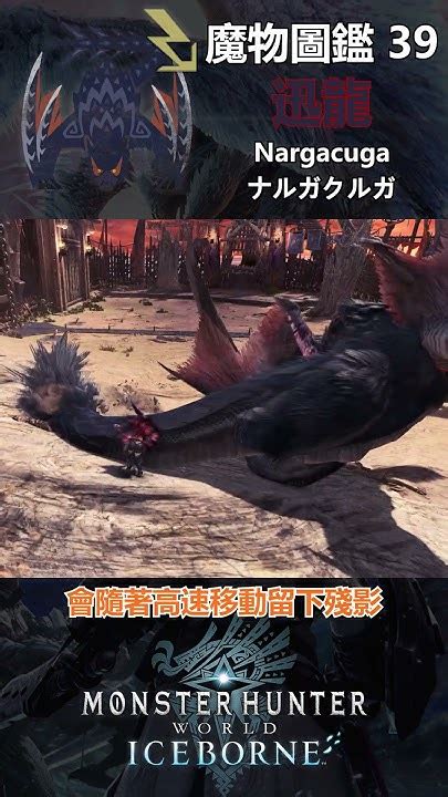 魔物圖鑑 39 迅龍 Mhw 魔物獵人 魔物獵人世界 魔物獵人世界冰原 Youtube