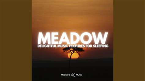 The Meadow Delightful Music Textures For Sleeping Youtube