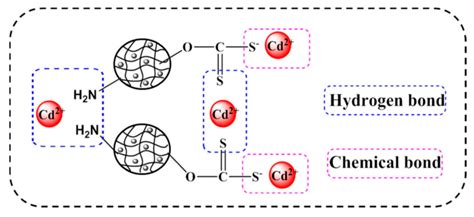 Molecules Free Full Text Preparation And Application Of Magnetic