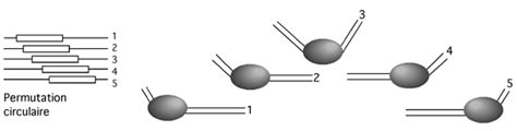 Biochimie Des Prot Ines Bcm