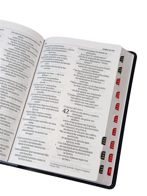 Biblia Nvi Letra Gigante Puntos Negro Piel Fabricada Con Ndice