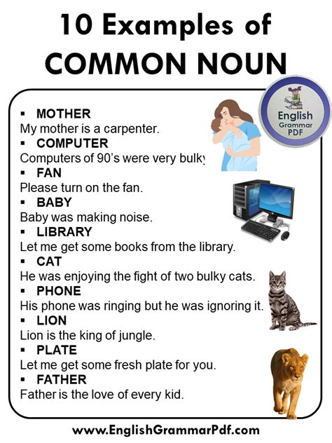 Examples Of Common Nouns In English With Pdf Engdic Off