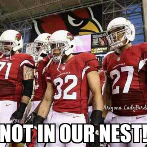 Not In Our Nest Arizona Cardinals Football Club Nfl Nfcwest