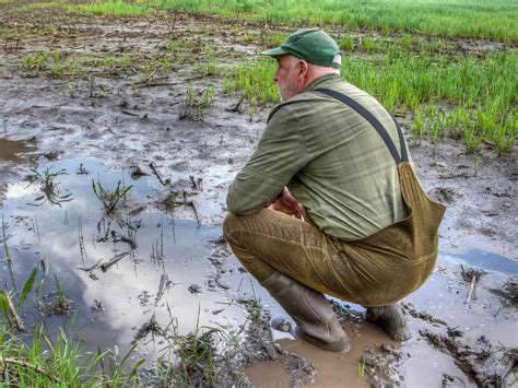 Ricevuti Solo 14 Euro Per I Danni Dell Alluvione Una Beffa La