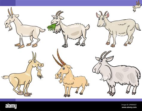 Cartoon Illustration Of Goats Farm Animals Comic Characters Set Stock