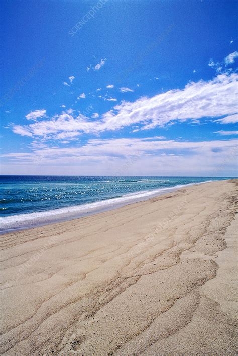 Beach, Cape Cod National Seashore, Massachusetts, USA - Stock Image ...