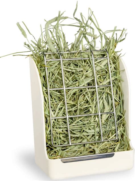 The Best Rabbit Hay Feeders Thefifty