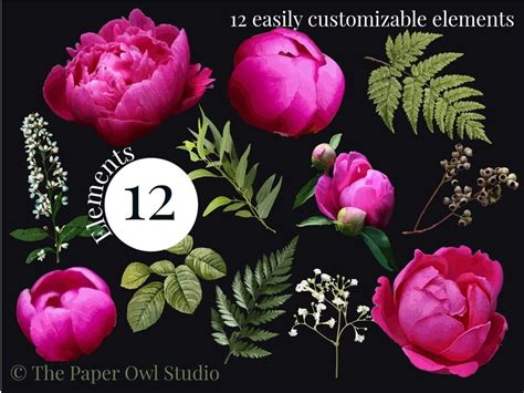 Magenta Peony Floral Clipart Fuchsia Flowers Hot Pink Peonies Floral