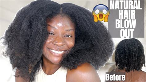 HOW TO BLOW DRY 4B 4C HAIR DETAILED TUTORIAL NATURAL HAIR LYNDA