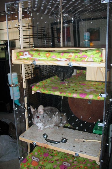 Alexis Miller Design: Custom Chinchilla Cage