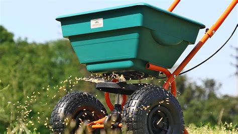 Are seed spreaders worth it? 6 pros and cons from the experts | Top Ten ...