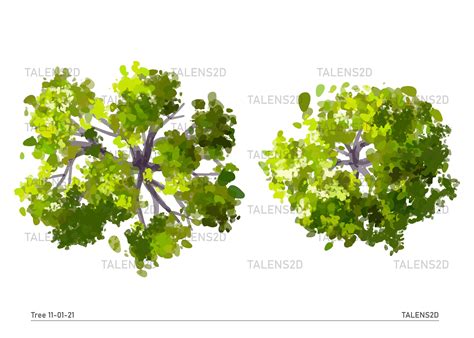 Tree Top View, 2D Landscape Clipart in PNG - Etsy